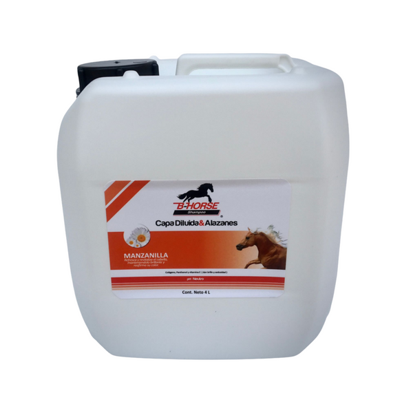 SHAMPOO B-HORSE CAPA DILUIDA 4 LT