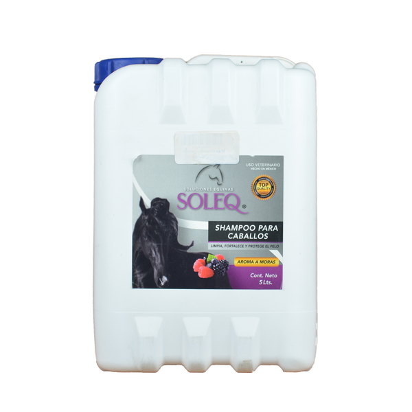 SHAMPOO SOLEQ MORAS 5LT