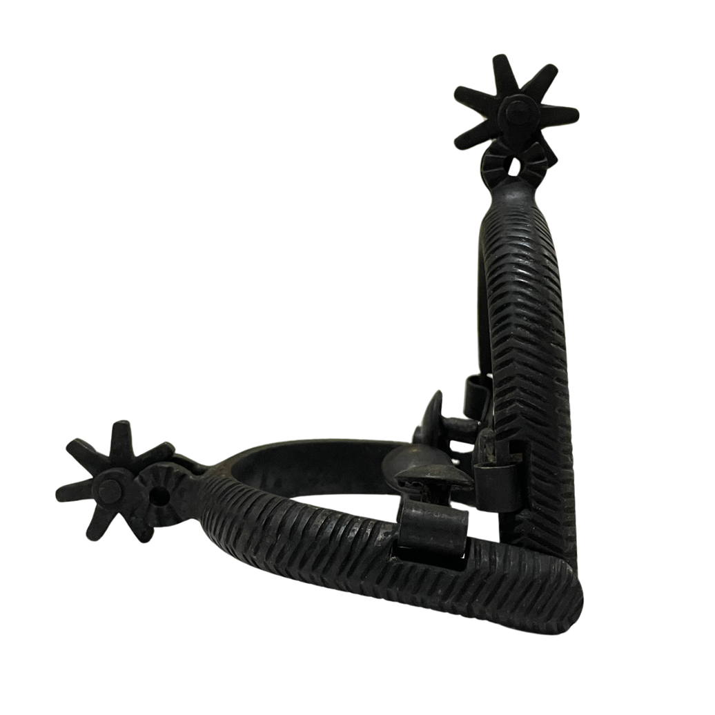 ESPUELA DELGADA NEGRA