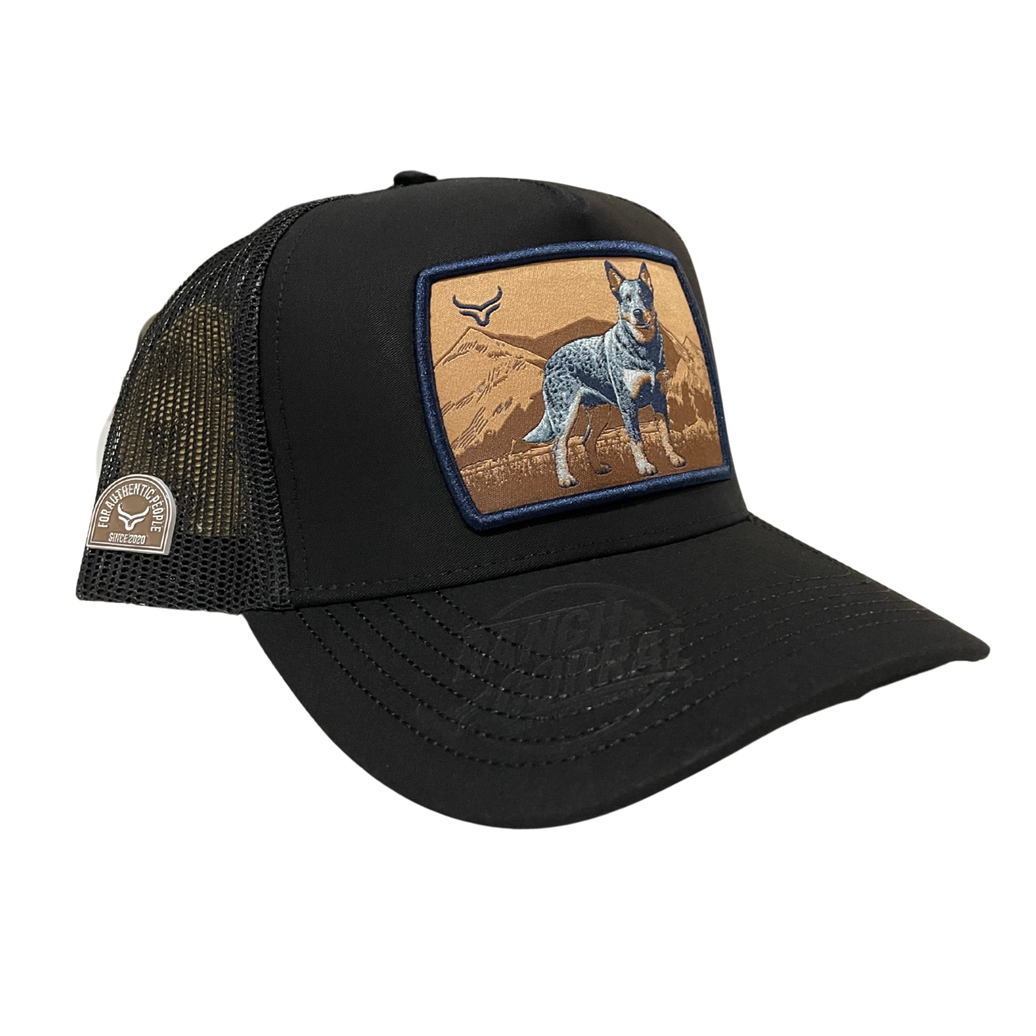 GORRA RANCH & CORRAL