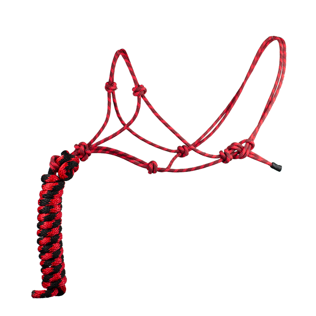 JAQUIMA PASEADOR ROJO NEGRO