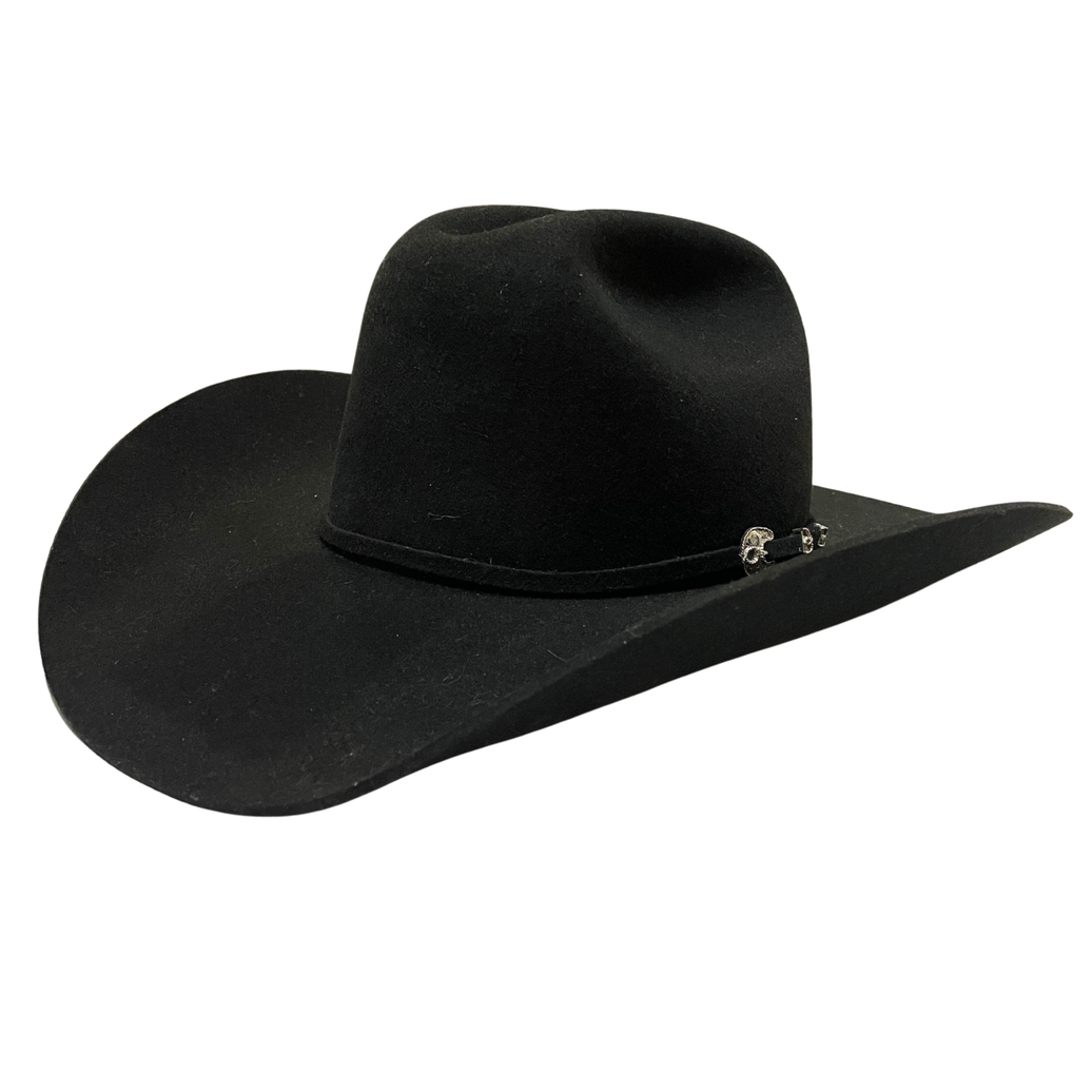 TEXANA STETSON CORRAL BLACK 4X