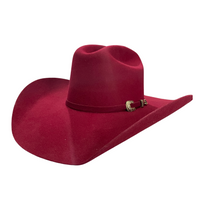 TEXANA TOMBSTONE TINTO ROPER 20 ESTRELLAS