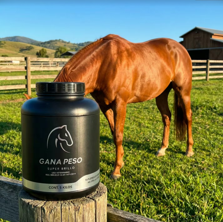 GANA PESO MAS CABALLO 5KG