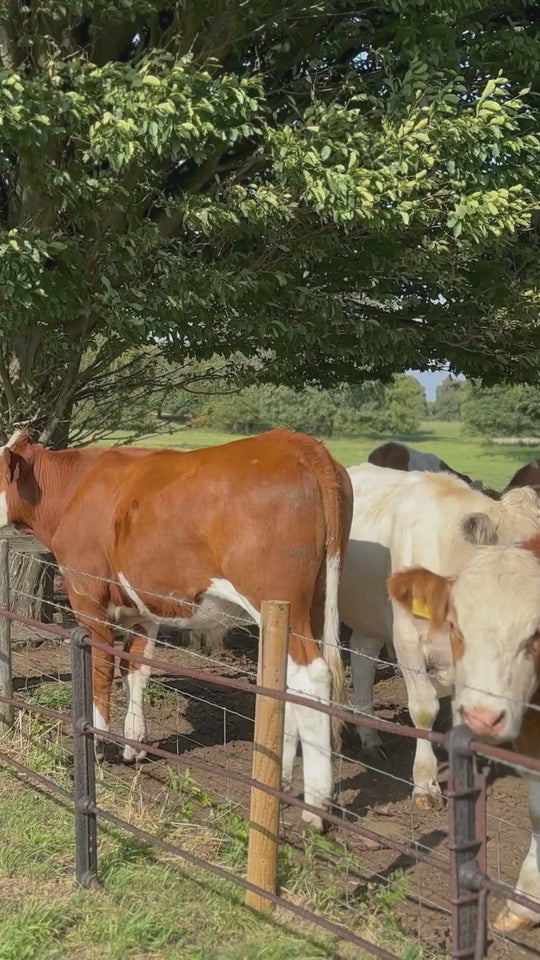 NATURAL GROW NATURAL VETERINARY 1KG