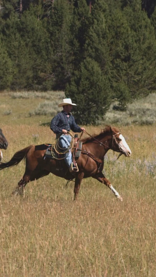 NATURAL CONDROFLEX HA NATURAL VETERINARY 1LT