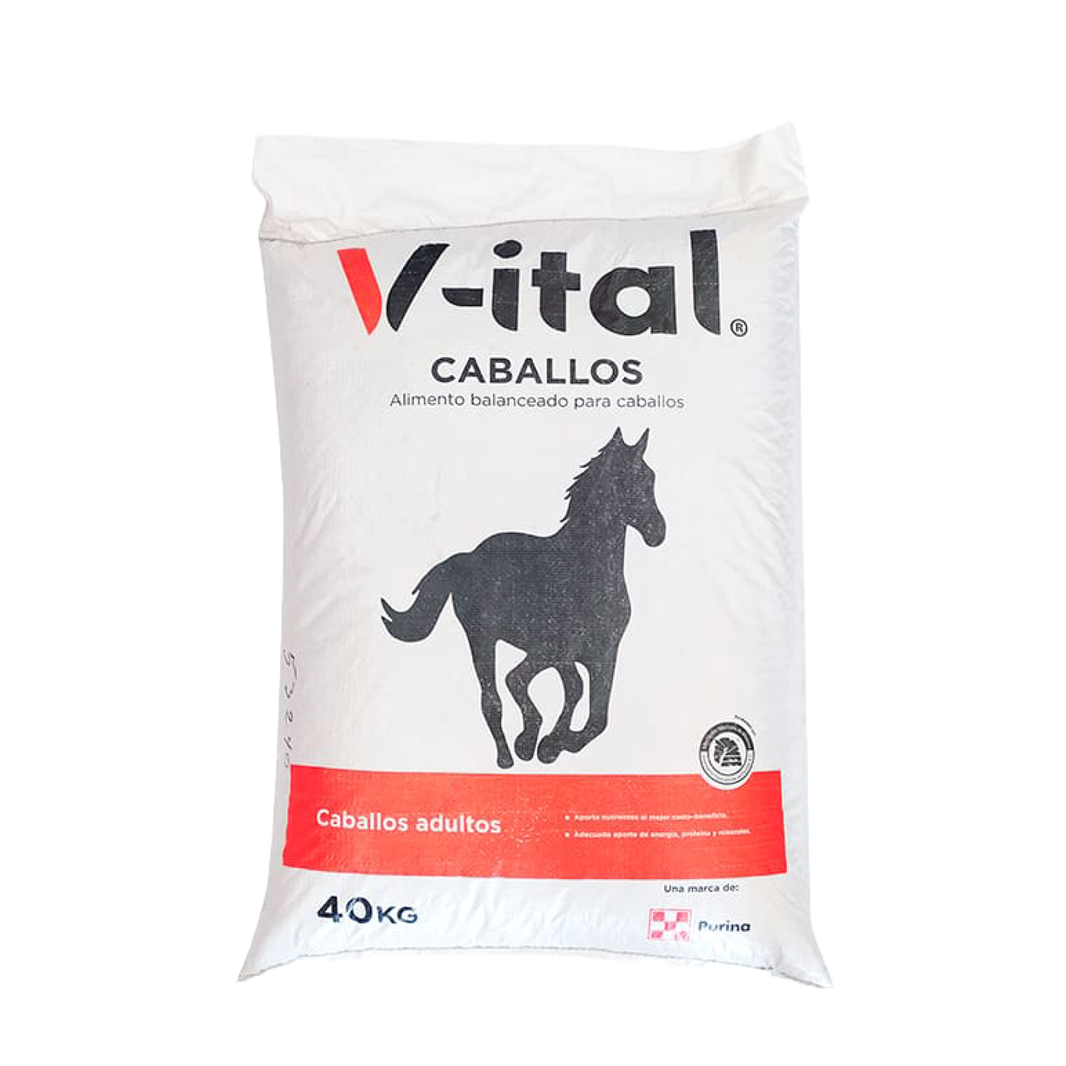 V-ITAL CABALLOS PURINA 25 KG
